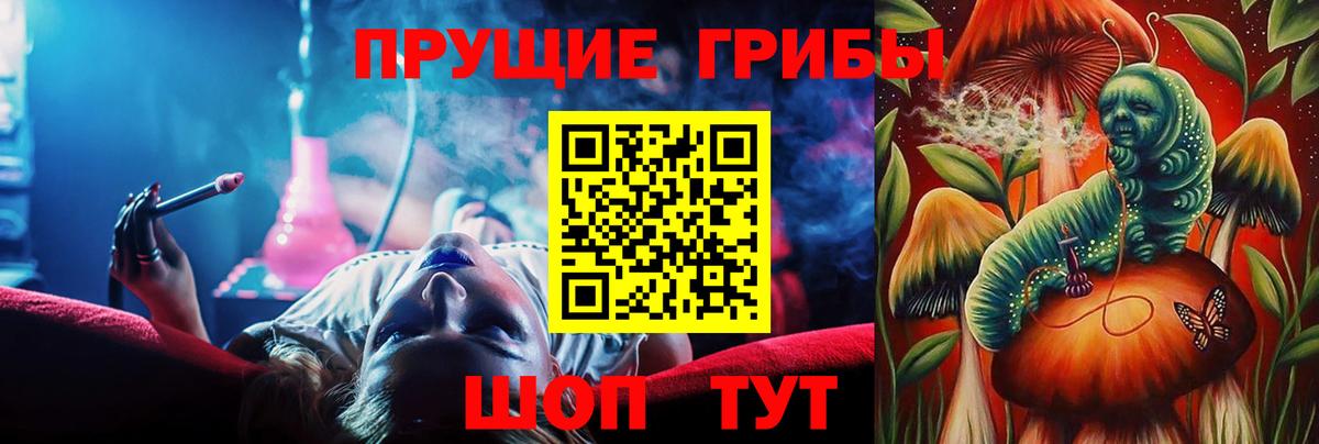 Псилоцибиновые грибы Psilocybe Щёлково